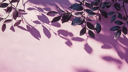 Poster - Dark leaves cast shadows on a pink background.