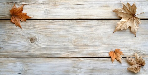 Poster - Dried leaves arranged on rustic light wooden planks background.