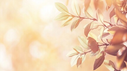 Poster - Sunlight illuminating vibrant green leaves on a branch, creating a warm, tranquil scene.