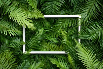 Poster - White frame on lush green fern leaves background.