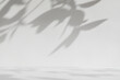© Tetra Images - White surface with�shadows of leaves
