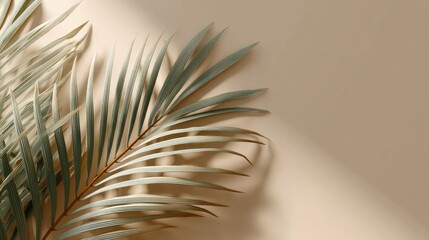 Fototapete - A single palm leaf gracefully rests against a soft beige background, casting gentle shadows. This composition evokes a calm and tranquil atmosphere, perfect for minimalistic decor.