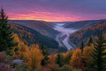 Poster - Stunning sunrise over misty valley surrounded by vibrant autumn foliage in a serene landscape