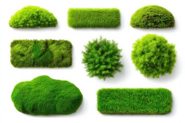 Poster - Various green grass and foliage textures arranged on a white background for design use in environmental projects