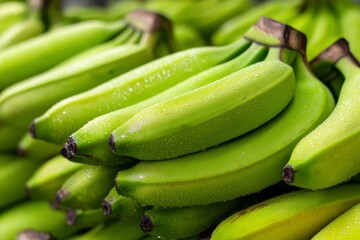 Aufkleber - Freshly harvested green bananas piled in a market display attracting shoppers during the morning hours
