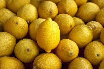 Poster - Fresh lemons piled together with one lemon standing out in the center, showcasing vivid yellow color and texture