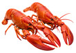 © dipu - cooked lobsters isolated on transparent background