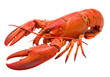 © dipu - cooked lobsters isolated on transparent background
