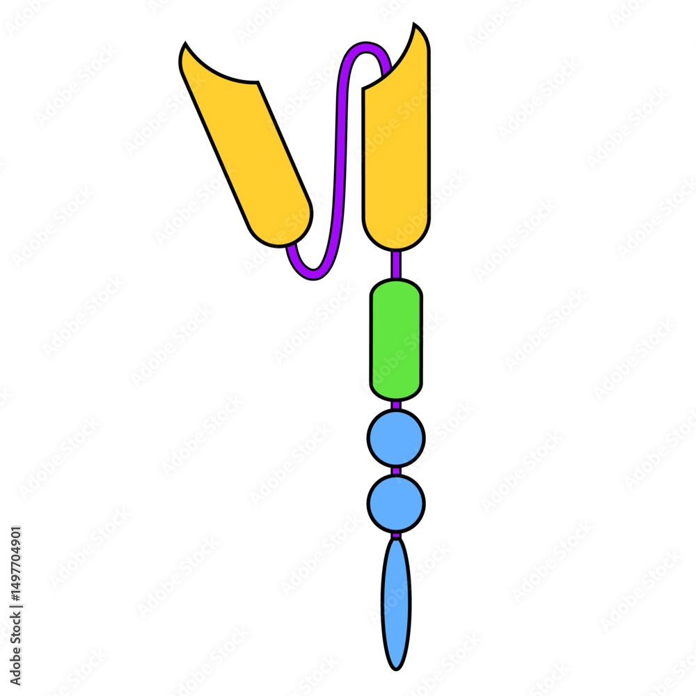 Chimeric antigen receptor T-cell. Symbol of CAR T cell. S Stock Vector ...