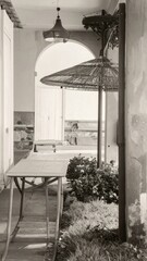 Poster - Serene Monochrome Scene Highlighting Form and Texture in Nature