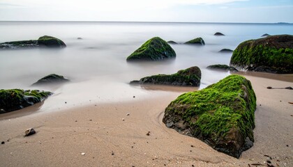Poster - Serene Natural Scene with Soft Mist Over Mossy Stones and Sand