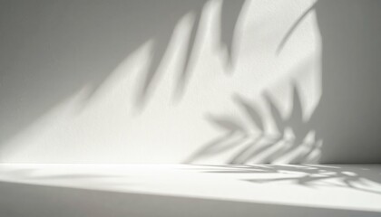 Poster - Soft Light and Shadow Dance on a Tranquil Surface