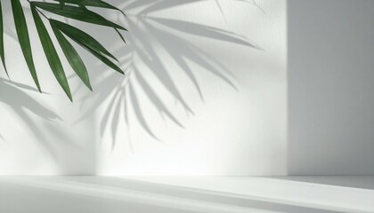Poster - Tranquil Scene with Soft Light and Shadow from Green Plant Leaves