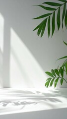Poster - Tranquil Scene with Soft Light and Shadow on Green Leaves
