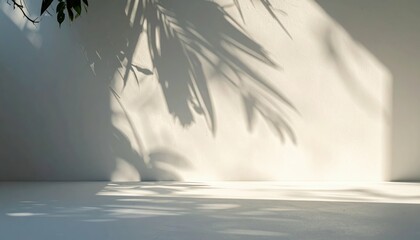 Poster - Tranquil Scene Highlighting Soft Light and Shadows on a White Background