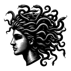 Wall Mural - detailed mythological medusa head side profile engraving style black and white outline line art draw