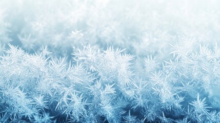 Poster - Captivating frost patterns icy landscape abstract artwork winter environment macro viewpoint creative concept