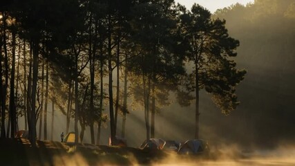 Poster - Misty Campsite at Sunrise: Tents nestled in a forest glow beneath sunlight piercing through the misty trees, capturing the tranquility of nature.