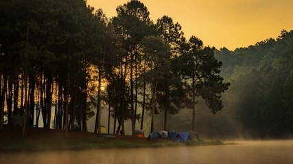 Poster - Misty Morning by the Lake: Witness a serene sunrise casting a warm glow upon a tranquil lake, framed by majestic trees and the promise of a new day.