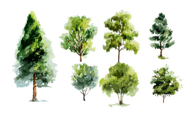 collection of watercolor green trees, transparent background, hand drawn leaves, vector illustration