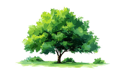 Summer watercolor tree painting, hand painted green foliage, isolated on white, botanical artwork, garden nature scene, vector illustration, seasonal flora, environmental art.
