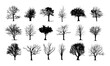 © aura studio - Hand drawn isolated naked trees silhouettes, vector illustration, leafless branches outlines, winter forest sketch, bare tree shapes clipart, nature silhouette design, cutout vector art.