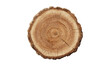 © aura studio - Felled tree cross-section, trunk slice with rings, stump texture, vector illustration, nature wood pattern, forest detail, tree cut bark, timber circle, png.