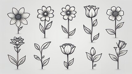 Poster - A collection of ten line art floral illustrations on a white background in a pattern