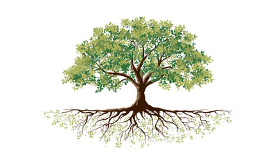 flat style vector illustration of tree with roots and lush green leaves on white background, environ