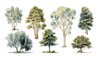 watercolor trees set, hand drawn vector illustration, architecture design, decorative art, botanical