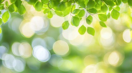 Wall Mural - Fresh Green Leaves with Soft Focus Background for Nature Lovers
