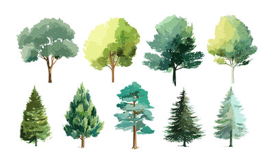 Watercolor Tree Illustrations, Green Foliage, Evergreen Trees, Forest Landscape, Nature Elements, Vector Illustration, Botanical Art, Seasonal Plants, Natural Scenery. christmas tree