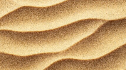 Wall Mural - close-up of soft sand dunes with gentle flowing patterns