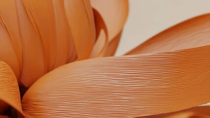 Poster - Abstract peach petals forming flower. Soft curved planes with fine lines. Smooth and flowing organic shapes in warm light.