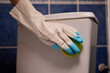 © Евгений Вершинин - Cleaning the Toilet Essential Sanitation Practices for Maintaining a Healthy Home Environment