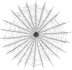 Aufkleber - Intricate black and white spider web illustration on white background, line art. Vector illustration