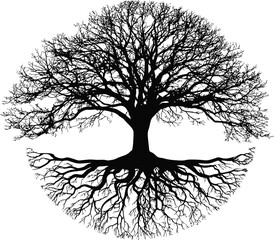 Poster - Black and white silhouette of a tree with branches and roots in a circular pattern. Vector illustration