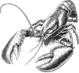 Poster - Detailed illustration of a lobster with intricate linework sketch style. Vector illustration