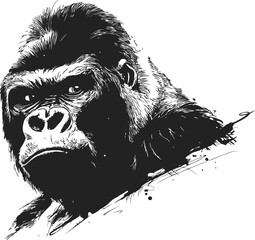 Poster - Black and white illustration of a gorilla face with intense expression. Vector illustration