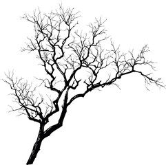 Aufkleber - Silhouette of leafless tree branches against a white background. Vector illustration