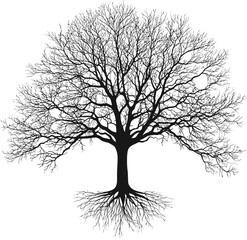Poster - Silhouette of a leafless tree with roots on a white background. Vector illustration