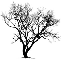 Aufkleber - Silhouette of a bare branched tree on a white background, artistic nature design. Vector illustration