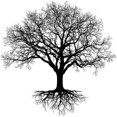 Poster - Black silhouette of a tree with roots displayed on a white background, vector art. Vector illustration