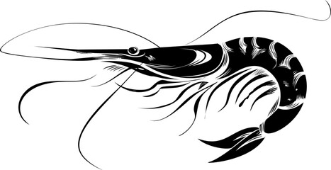 Aufkleber - Black and white shrimp illustration, detailed line art of marine crustacean. Vector illustration