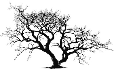 Aufkleber - Silhouette of a bare tree with intricate branches in black and white. Vector illustration