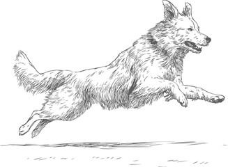 Aufkleber - Detailed sketch of a leaping dog in mid-air with dynamic motion line art. Vector illustration