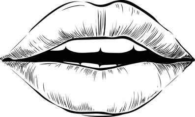 Aufkleber - Detailed black and white line art of lips with an artistic style. Vector illustration