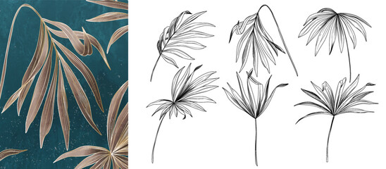 Wall Mural - background with a set of elements of sketches of tropical plant leaves in line style. botanical elem
