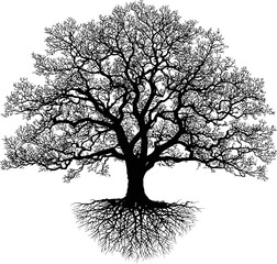 Poster - Silhouette of a tree with detailed branches and roots. Vector illustration