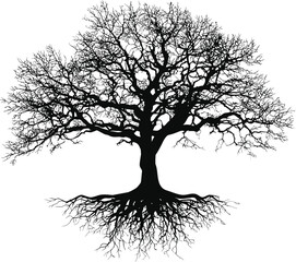 Poster - Silhouette of a bare tree with intricate branches and roots. Vector illustration